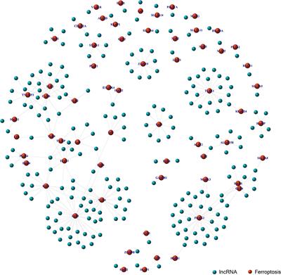 Comprehensive Analysis of Ferroptosis-Related LncRNAs in Breast Cancer Patients Reveals Prognostic Value and Relationship With Tumor Immune Microenvironment